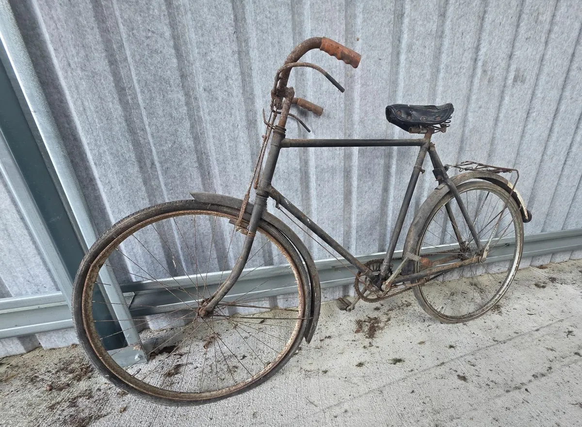 Raleigh Bikes - Image 3
