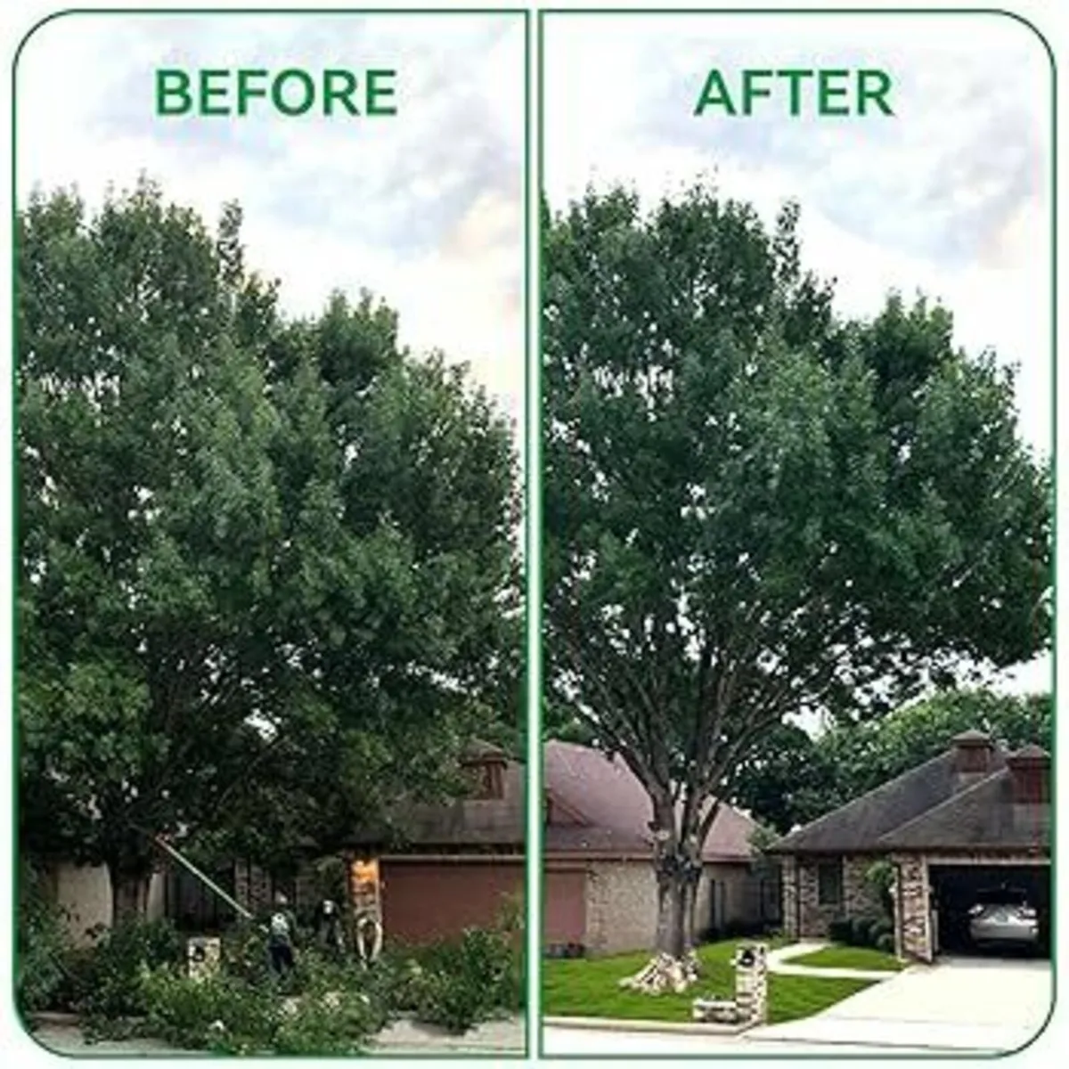 Hedge Cutting, Garden Maintenance - Image 4