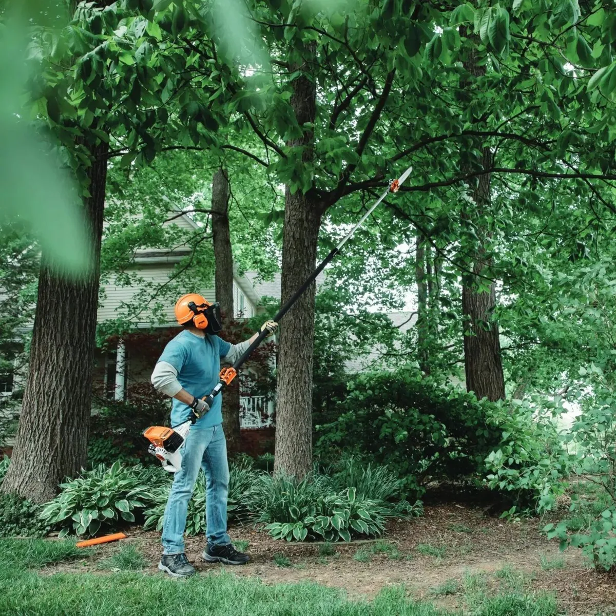 Hedge Cutting, Garden Maintenance - Image 3