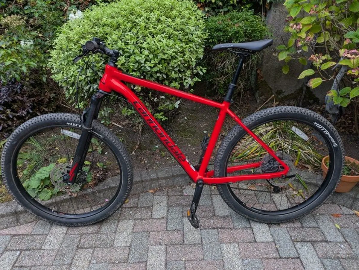 Cannondale mountain bike - Image 3