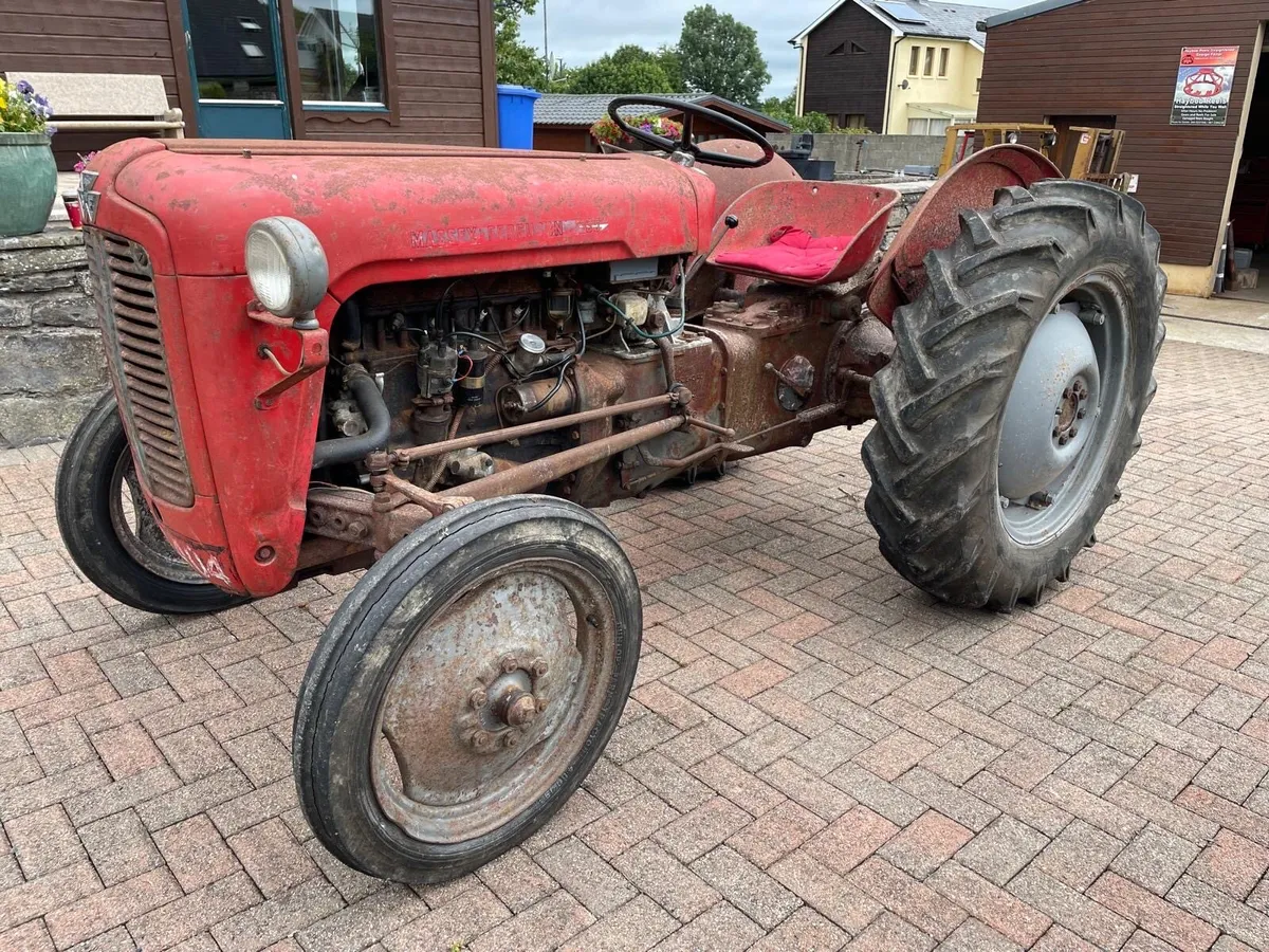 1958 MF petrol TVO - Image 2