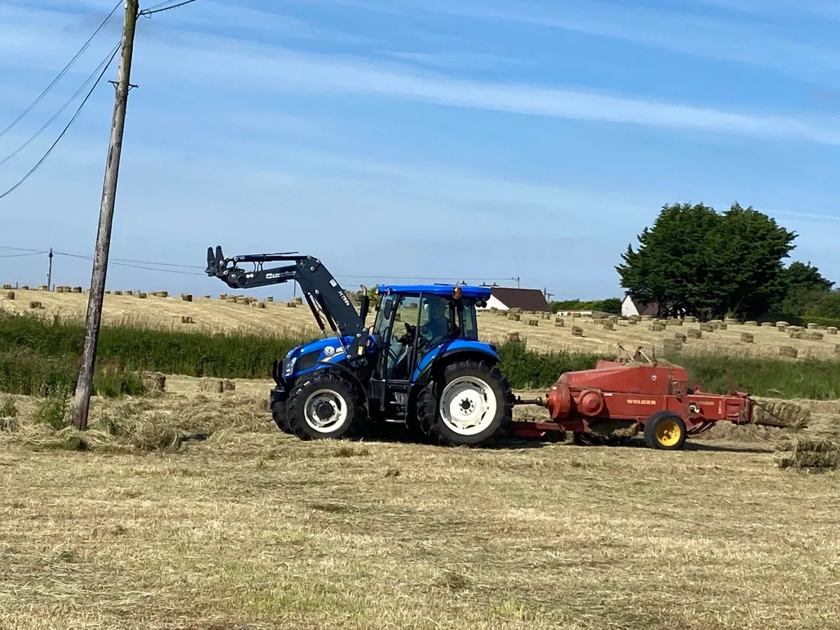Square bales hay - Image 1