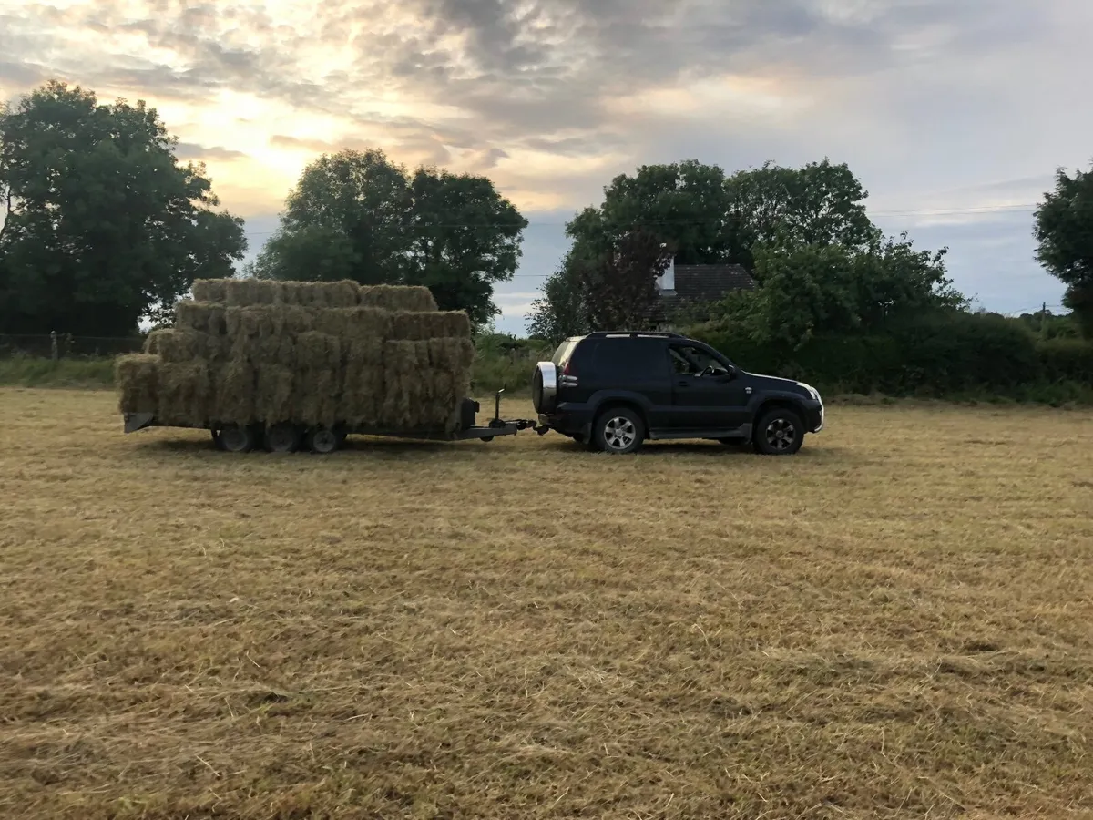 Square bales hay - Image 2