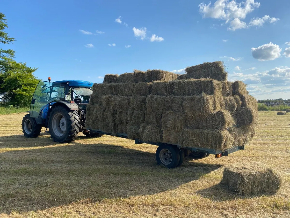 Square bales hay - Image 4