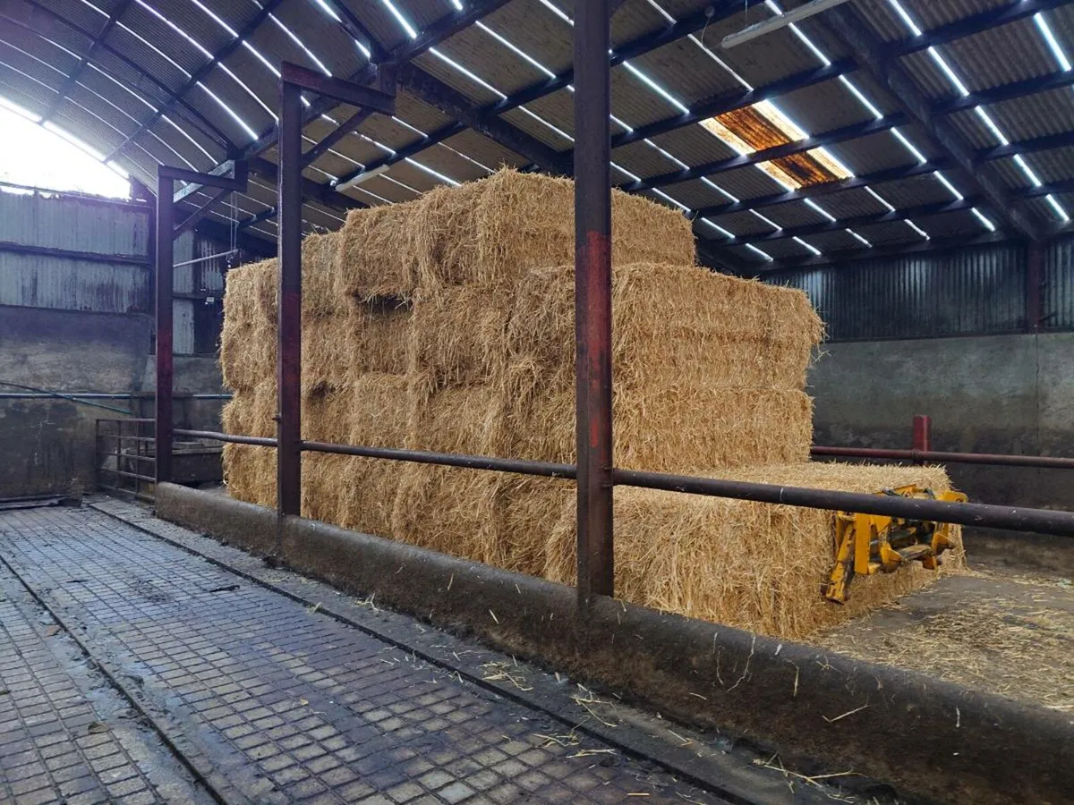 Barley straw - Image 1