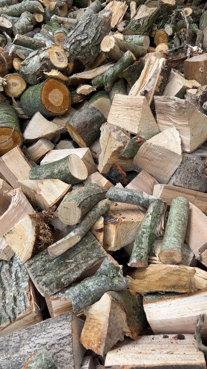 Ton bags of hardwood logs firewood - Image 2