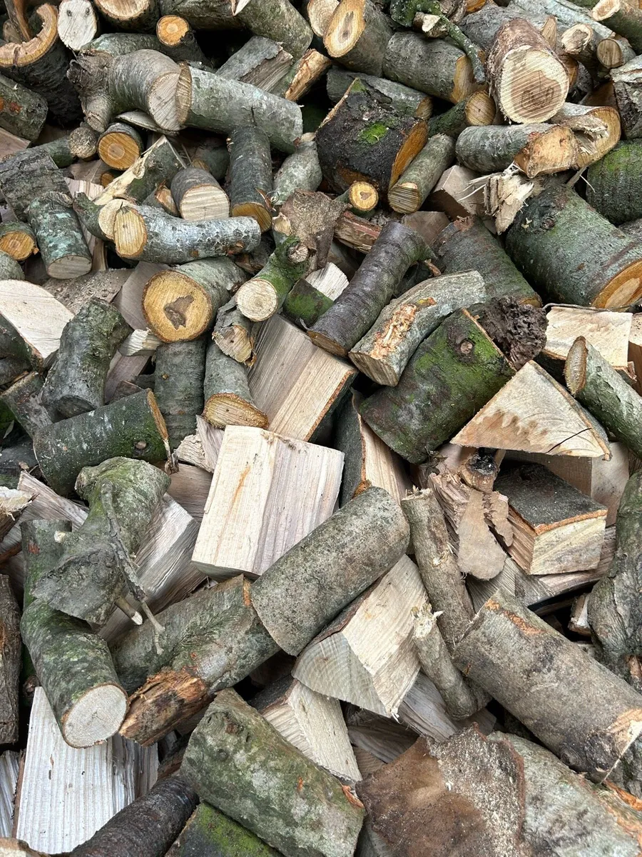 Ton bags of hardwood logs firewood - Image 3