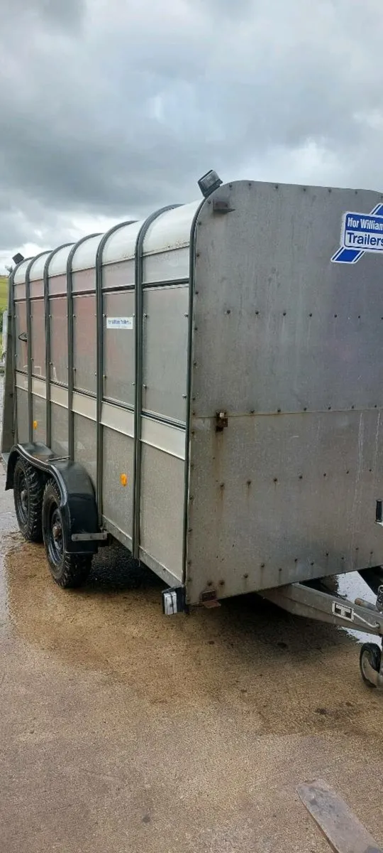 cattle trailer  12x6 with sheep decks - Image 2