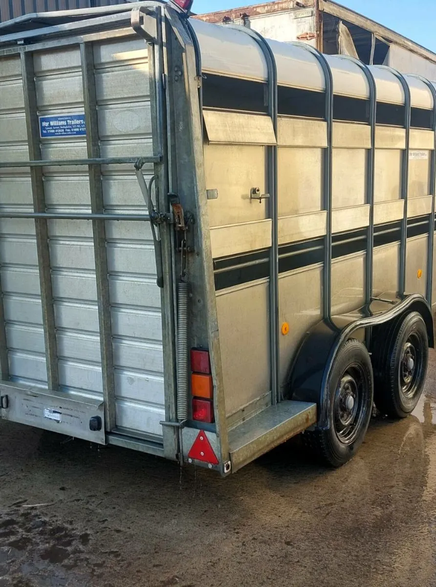 cattle trailer  12x6 with sheep decks - Image 3