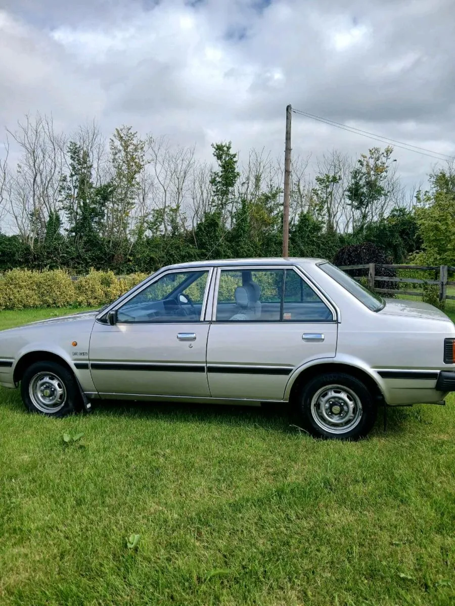 Nissan datsun sunny - Image 1