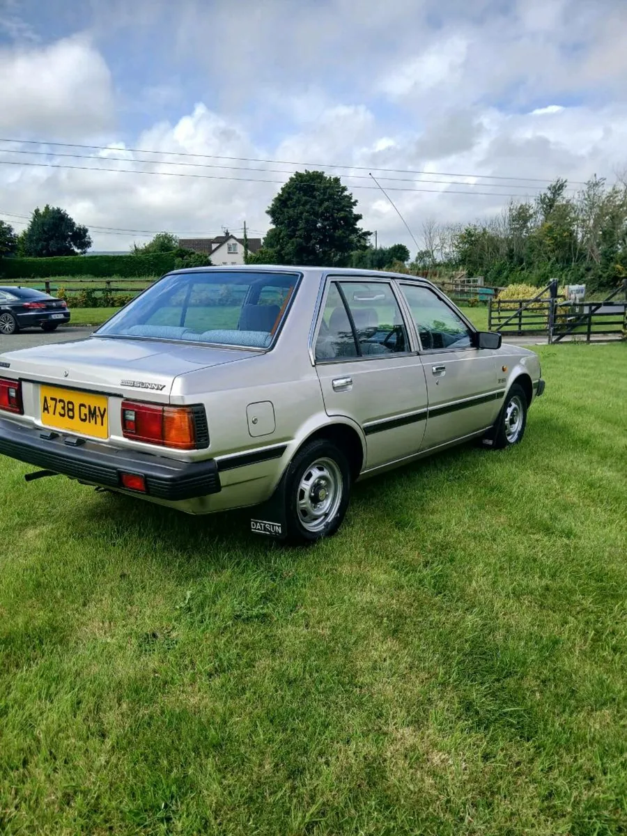 Nissan datsun sunny - Image 2