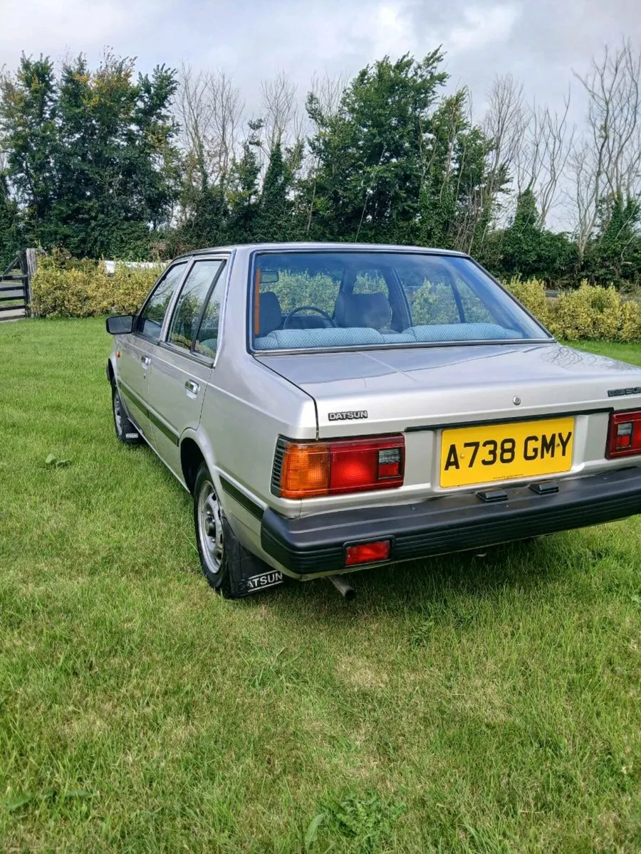 Nissan datsun sunny - Image 3