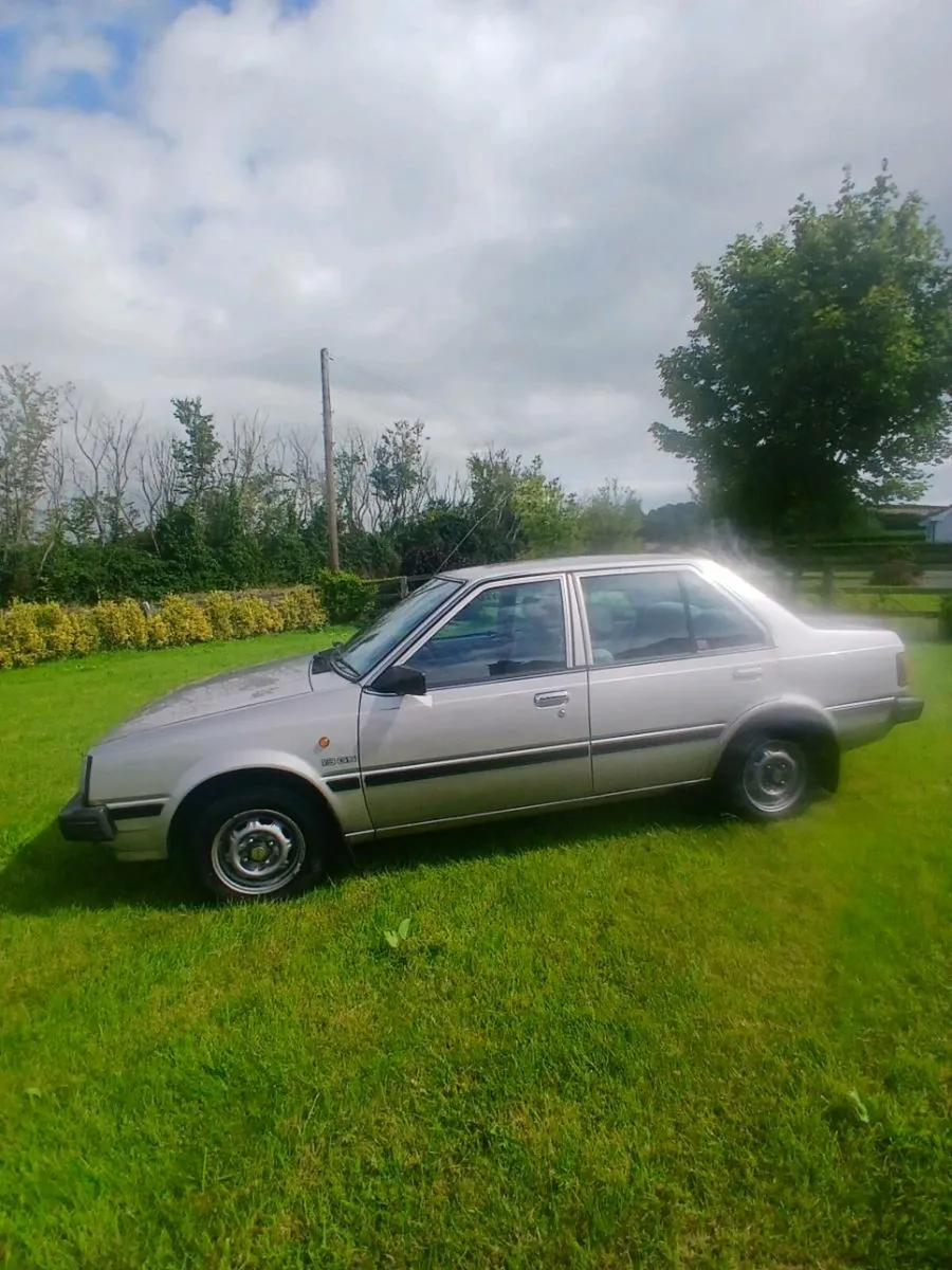 Nissan datsun sunny - Image 4