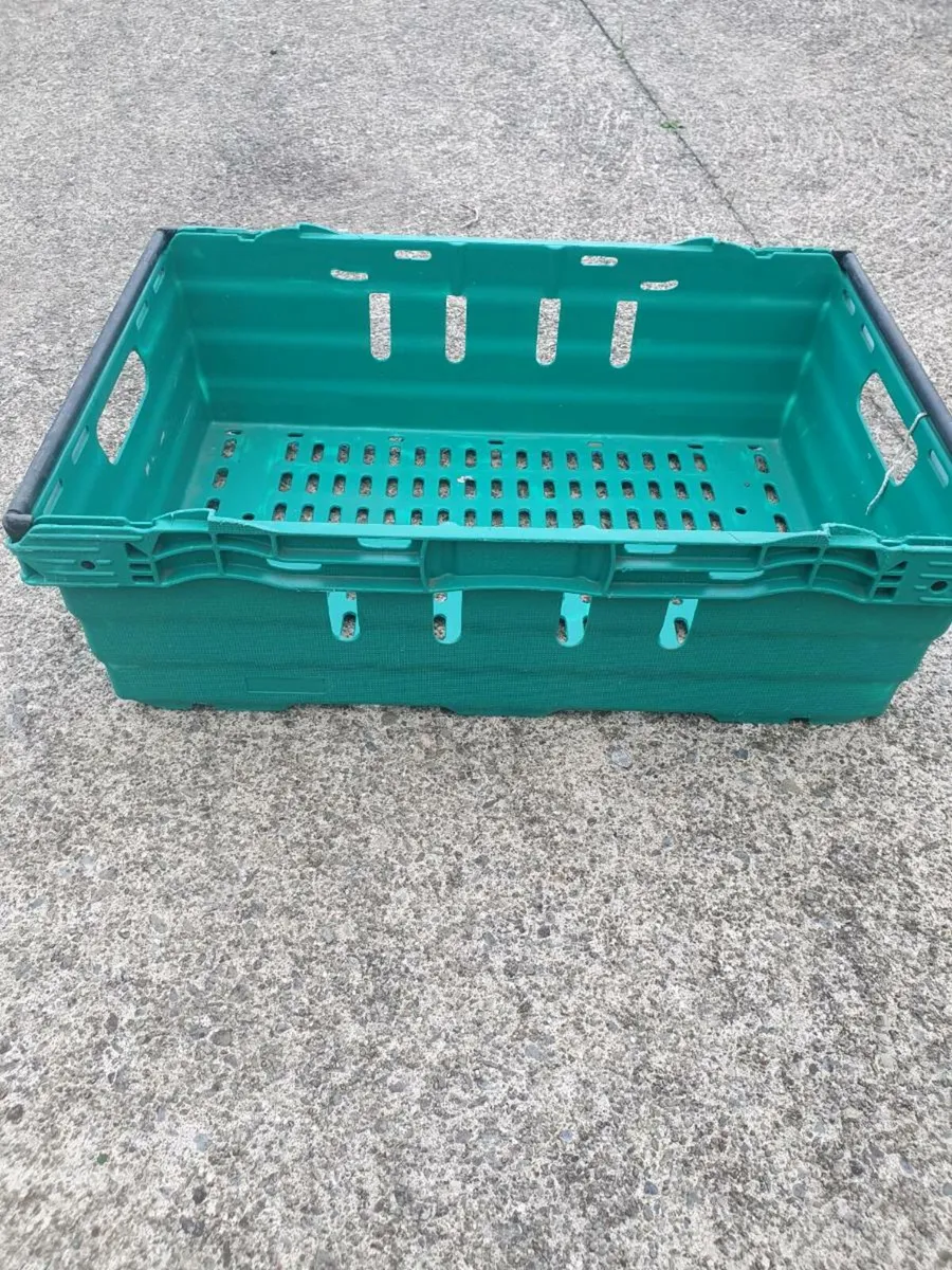 Plastic storage trays - Image 1