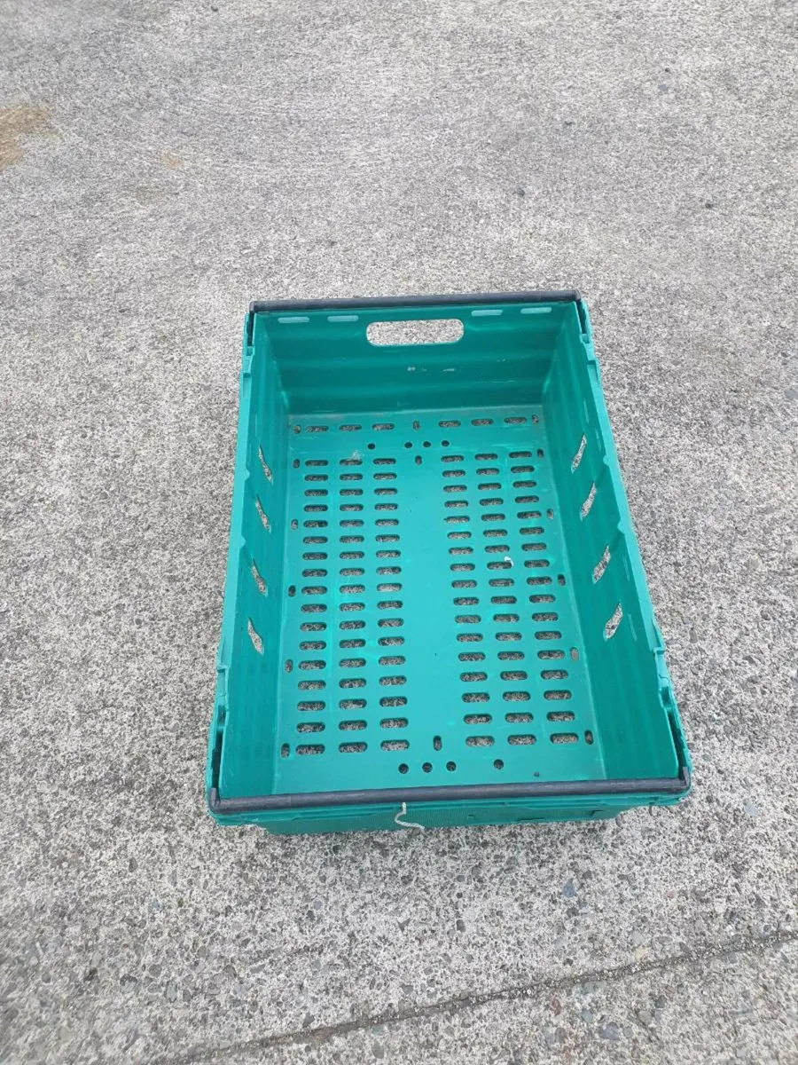 Plastic storage trays - Image 2