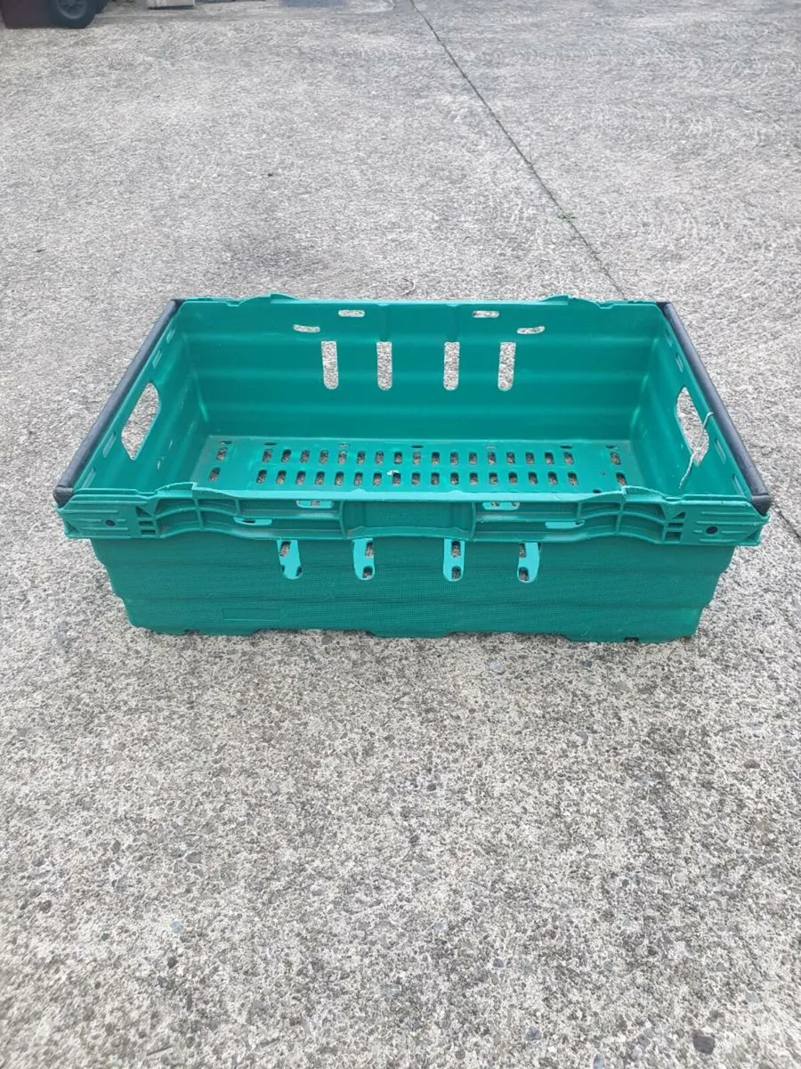 Plastic storage trays - Image 3