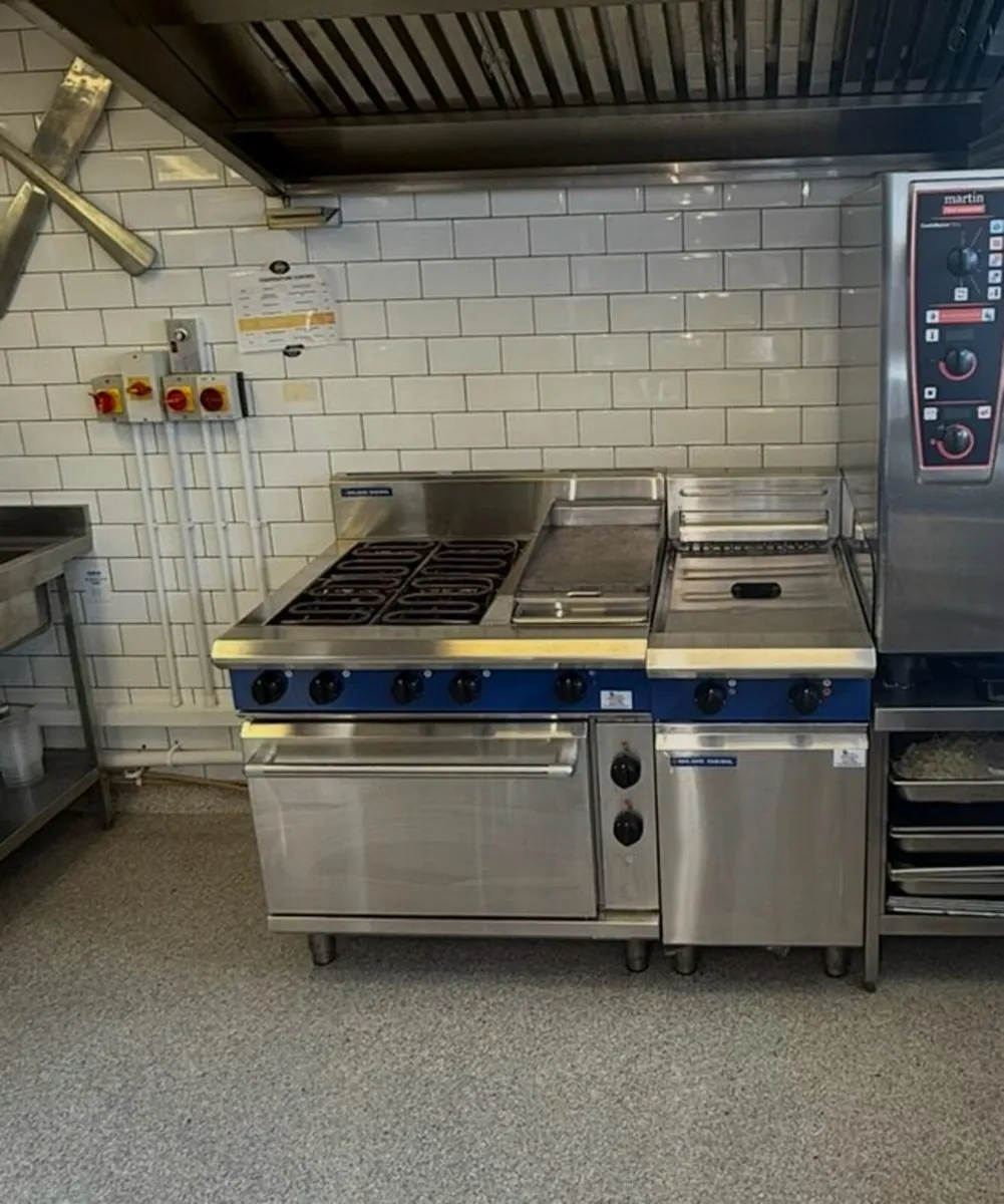 Blue Seal Free Standing Electric Twin Fryer - Image 1