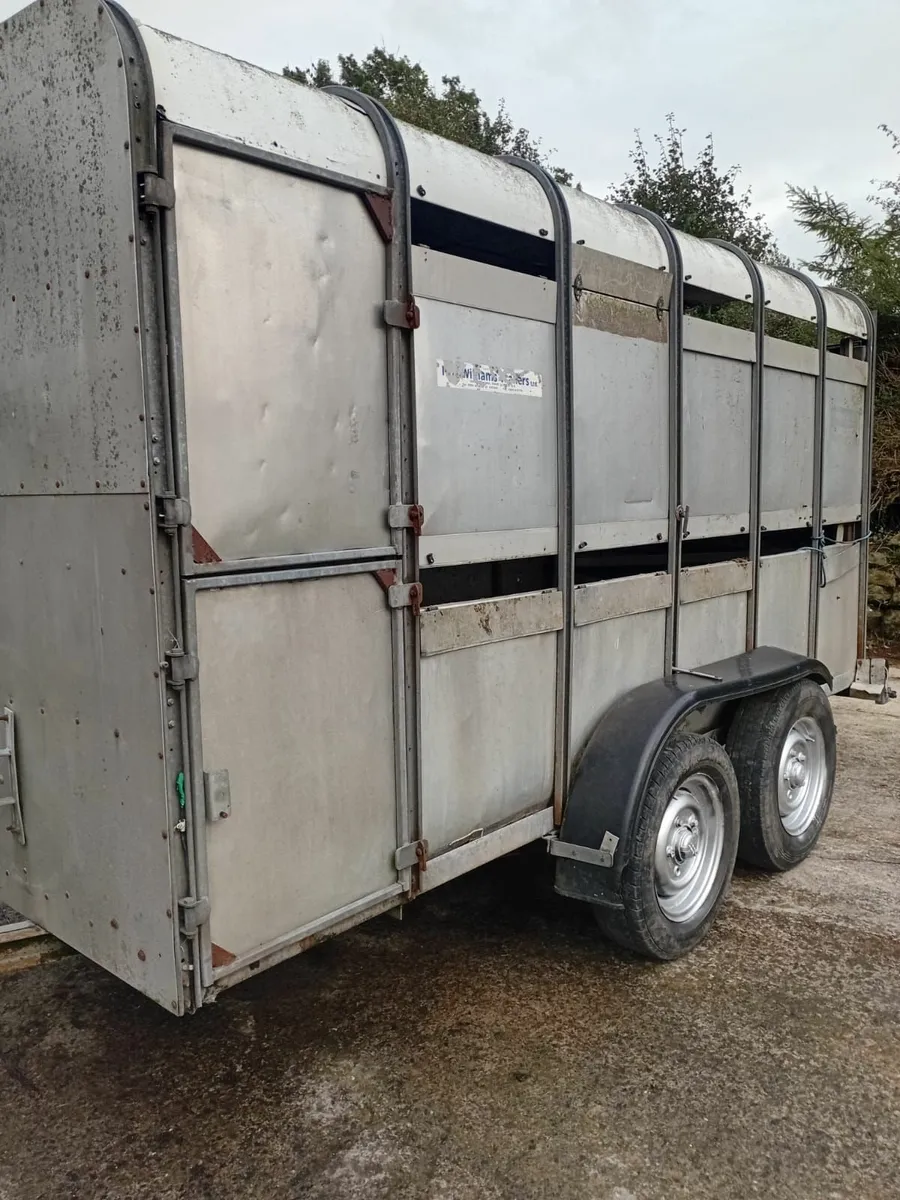 Cattle trailer - Image 2