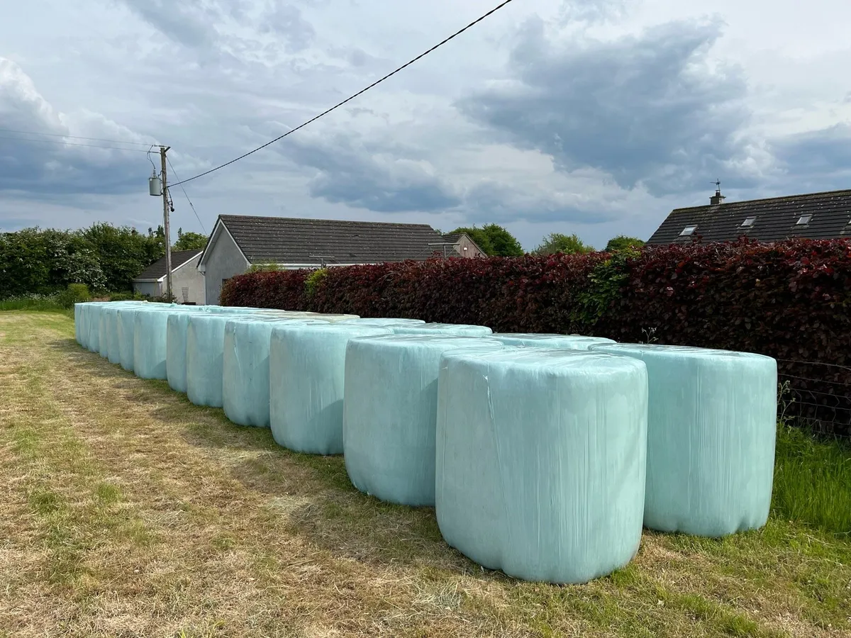 Haylage - Image 3