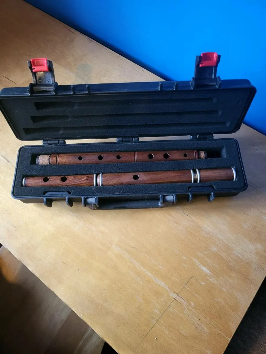 Beginners trad flute - Image 1