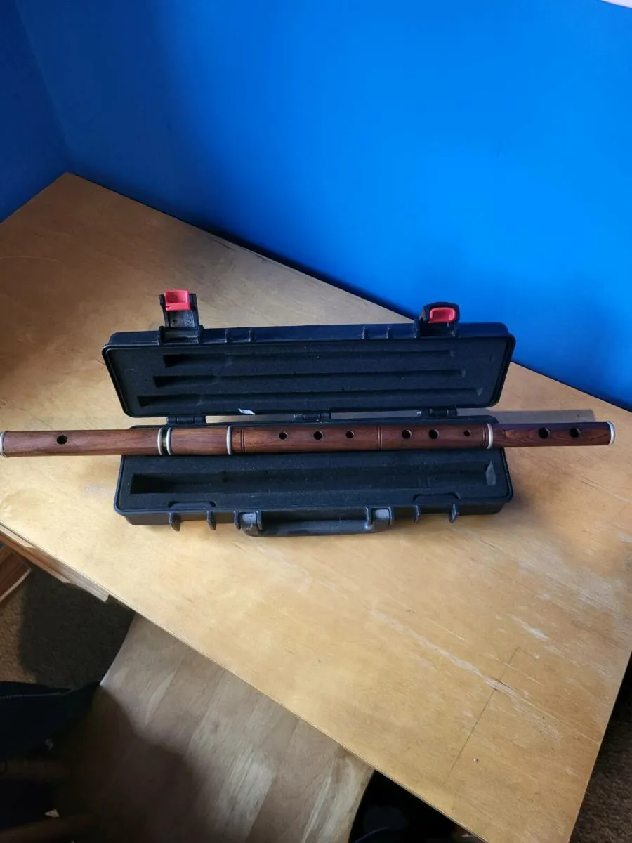 Beginners trad flute - Image 4