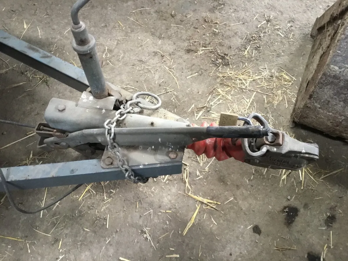 Cattle trailer - Image 3