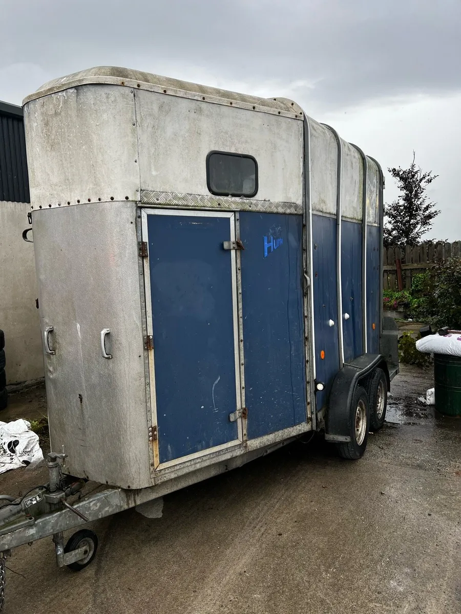 Ifor Williams horse box - Image 1
