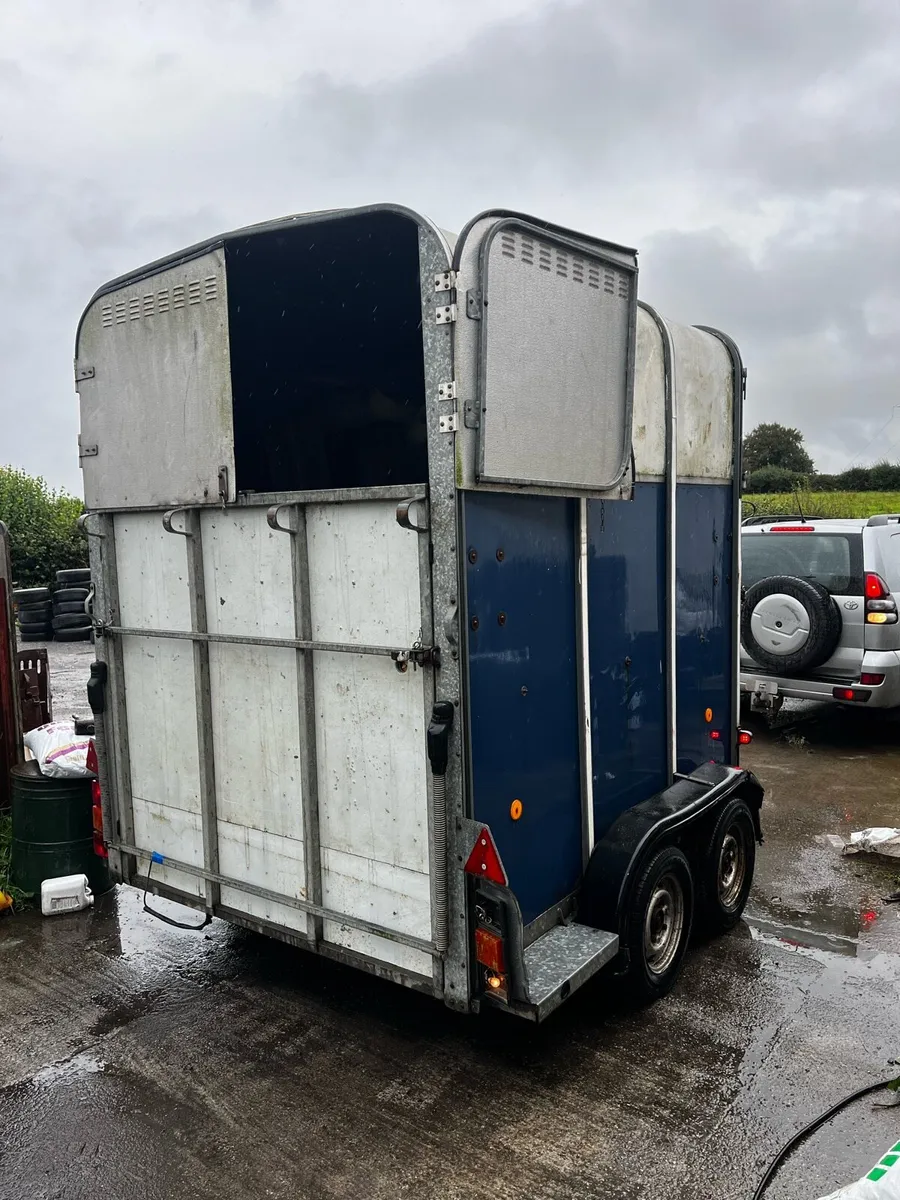 Ifor Williams horse box - Image 2