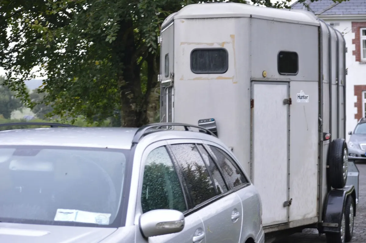 510 Ivor Williams Double Horsebox - Image 4