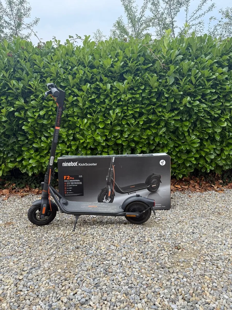 Ninbot Scooter F2pro - Image 1
