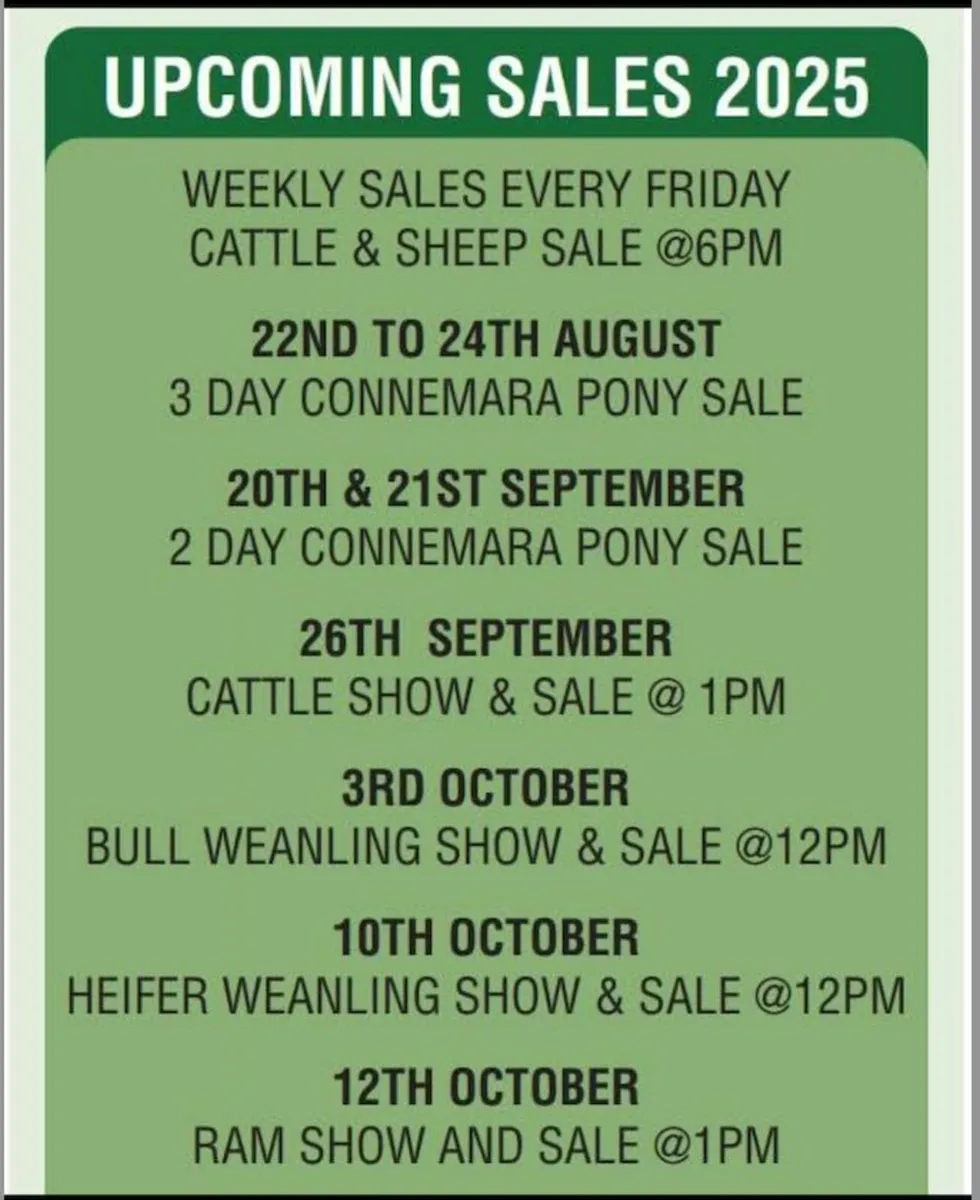 Cattle Sale in Clifden Mart