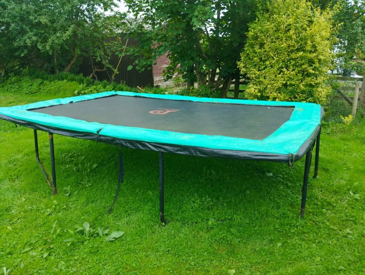 Trampoline - Image 2