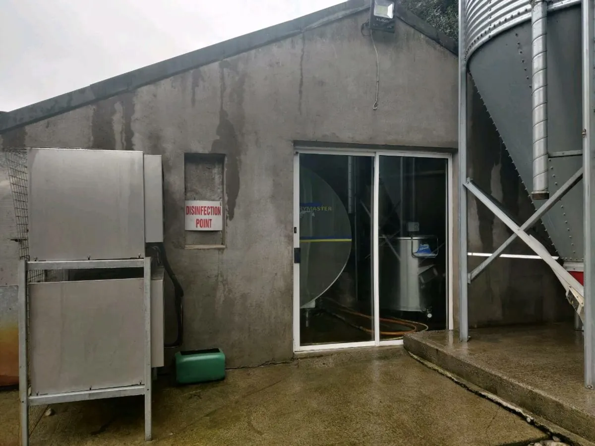 Regular milker Kinnegad area wanted - Image 1