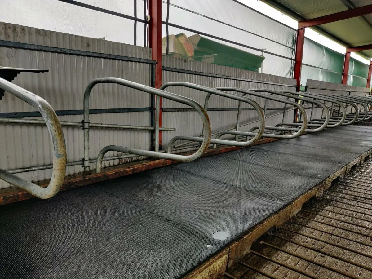 Regular milker Kinnegad area wanted - Image 2