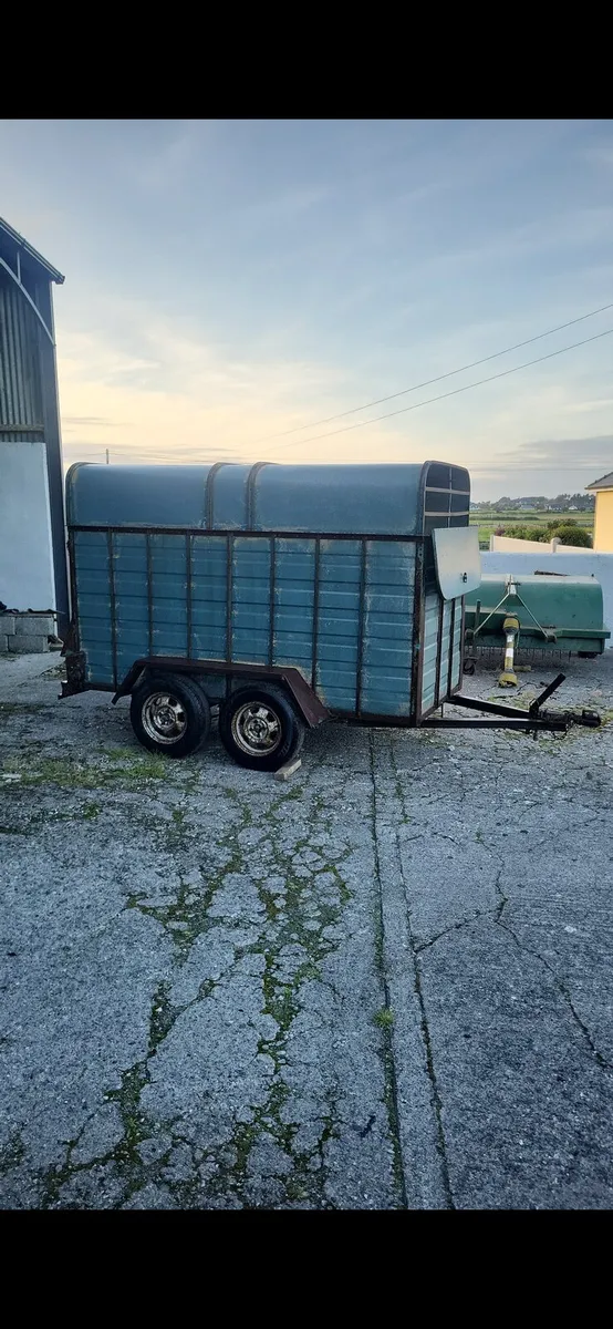Cow box - Image 1