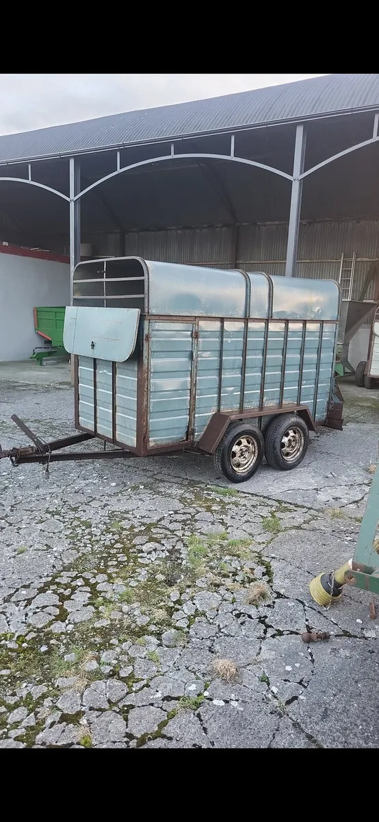 Cow box - Image 2