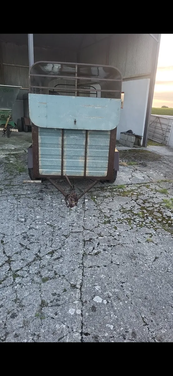 Cow box - Image 3