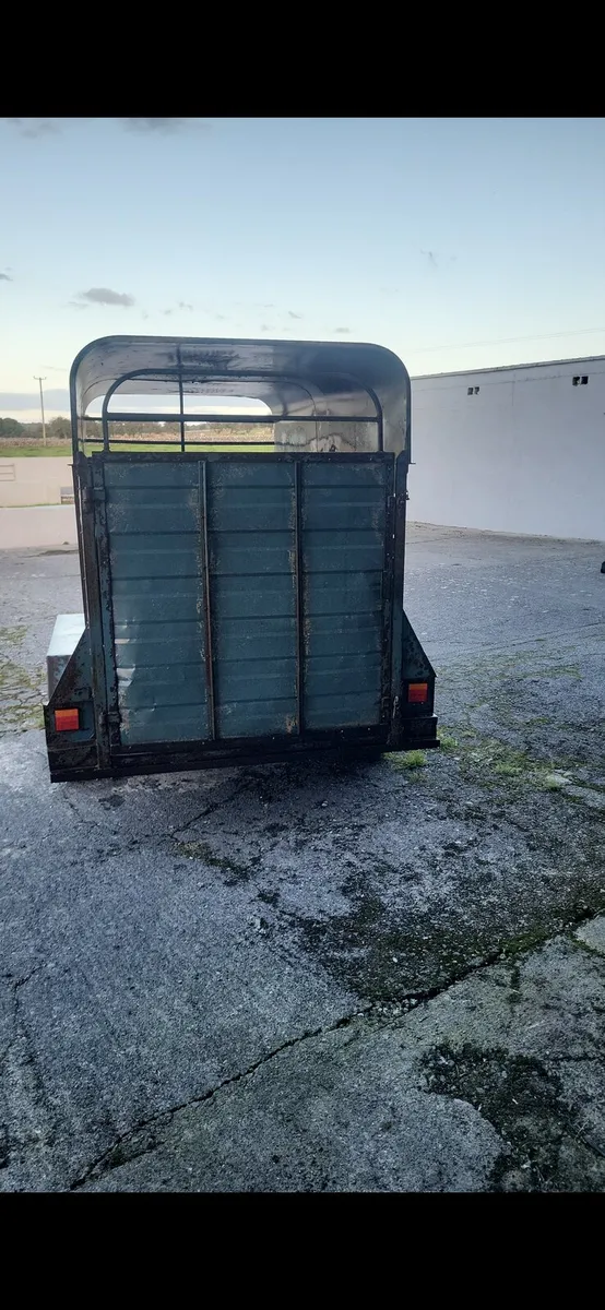 Cow box - Image 4