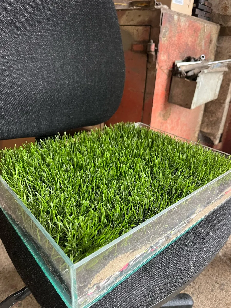 Luxurious Artifical Garden Grass - Image 1