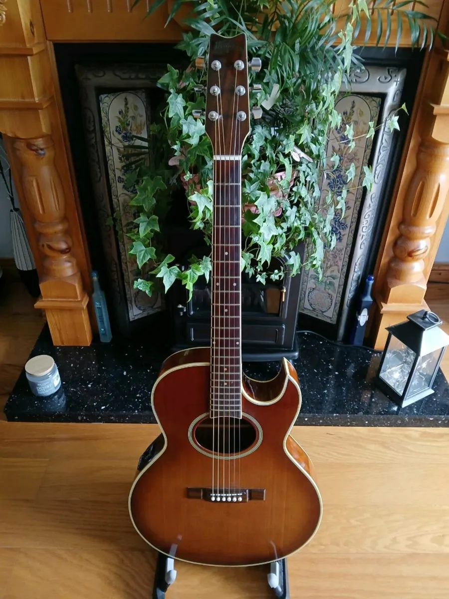 1994 Washburn EA10 Festival Series - Image 1