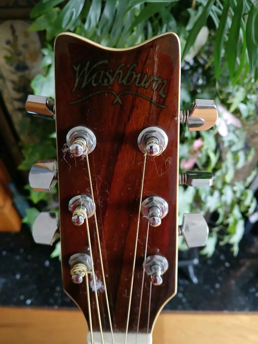 1994 Washburn EA10 Festival Series - Image 2