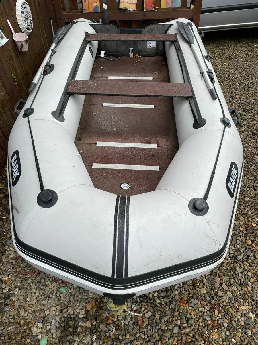 Rib Boat and Engine - Image 1