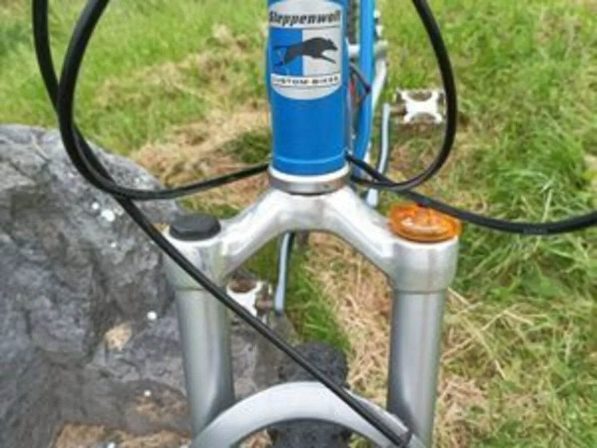 Mountainbike MTB Fully Steppenwolf Ride on - Image 3