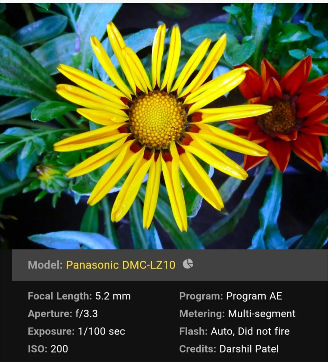 Panasonic Lumix 10MP CCD🌈 Camera Leica lens💥 - Image 4