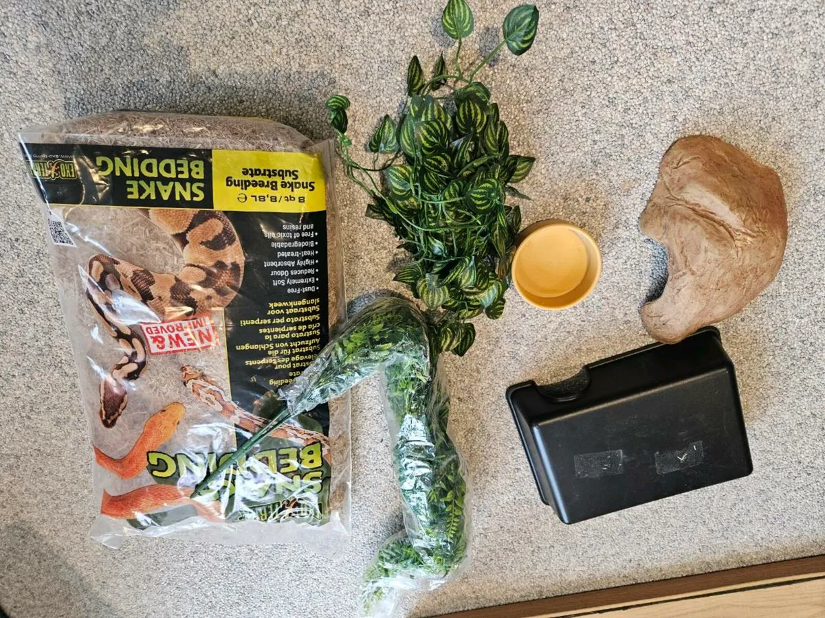 Reptile vivarium starter kit - Image 4