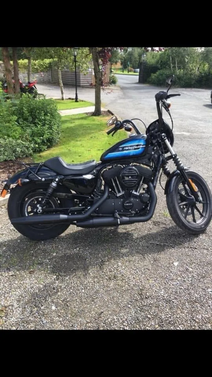 Harley Davidson 2019 XL1200 Iron Sportster - Image 1