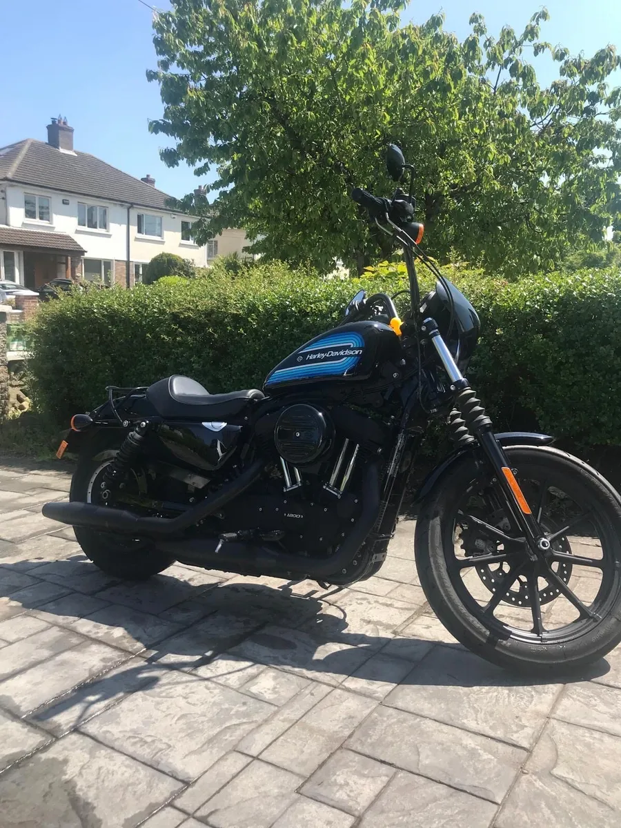 Harley Davidson 2019 XL1200 Iron Sportster - Image 3