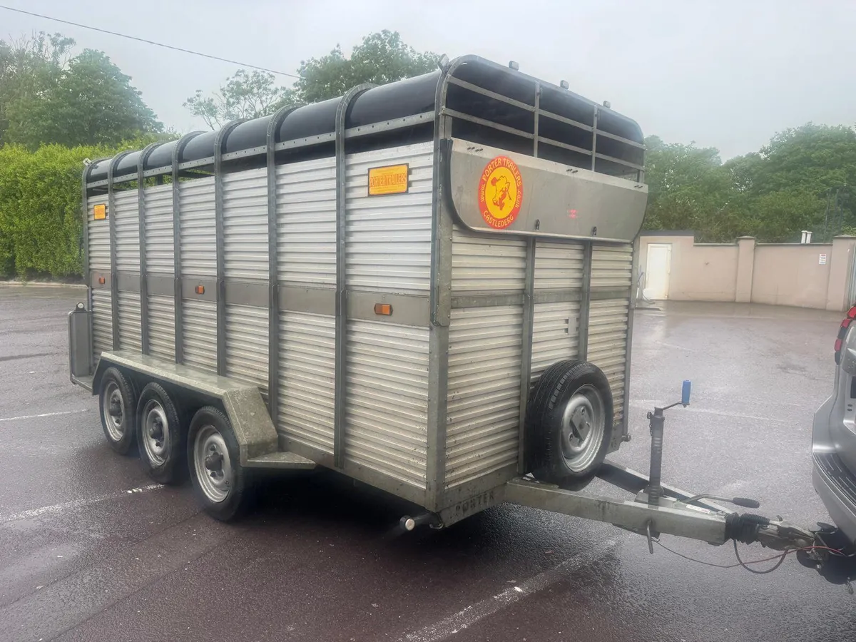 Horsebox hb505r blue - Image 2