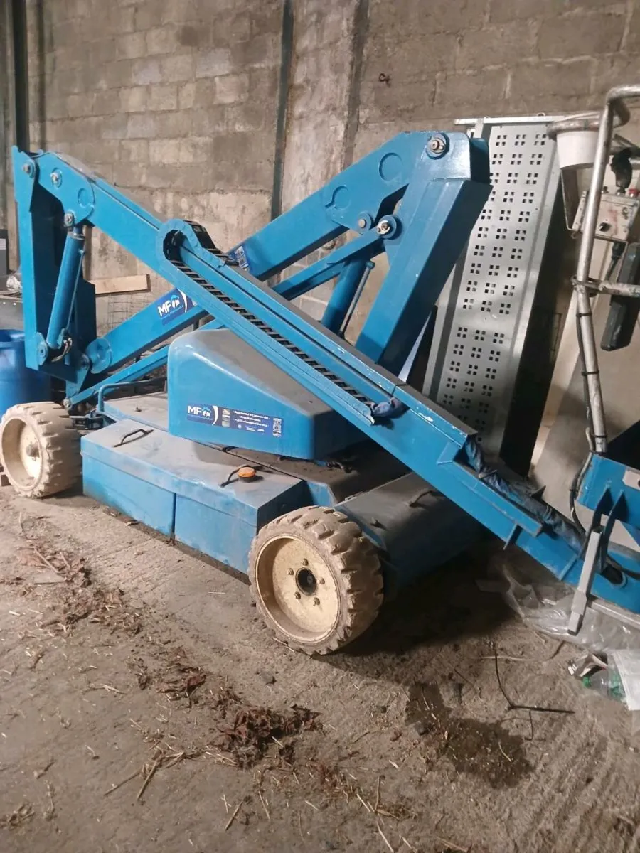 Cherry picker - Image 2