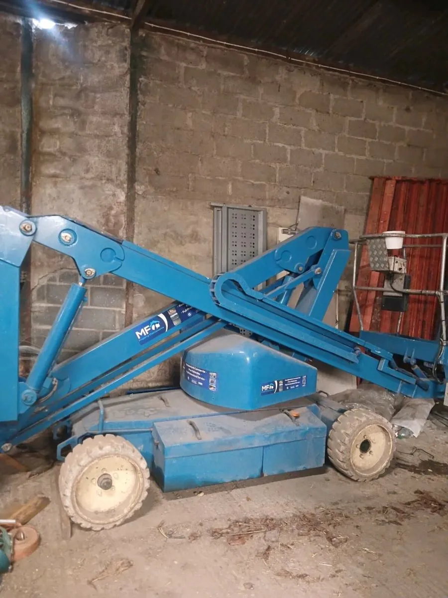 Cherry picker - Image 4